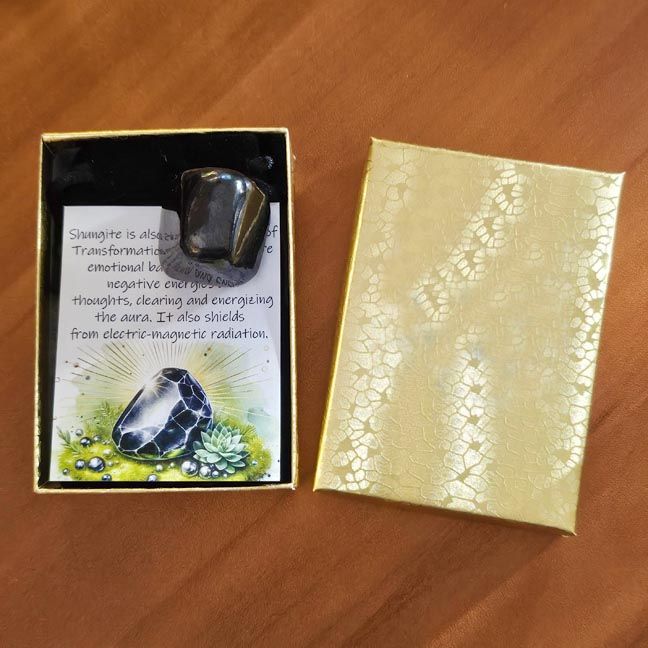 𖦹๋࣭ ⭑ Shungite Boxed Stone
