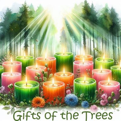🕯️Gift of the Trees Organic Soy Votives