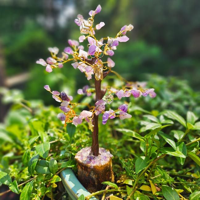 🪻Amethyst Wishing Tree