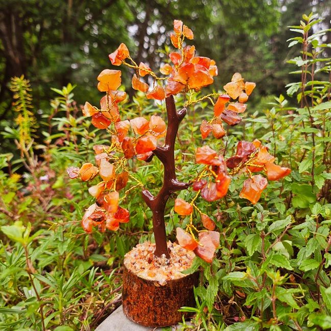 🔥Carnelian Wishing Tree