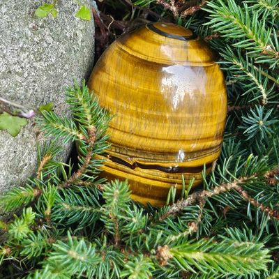 🐅 Tiger&#39;s Eye Palm Stones
