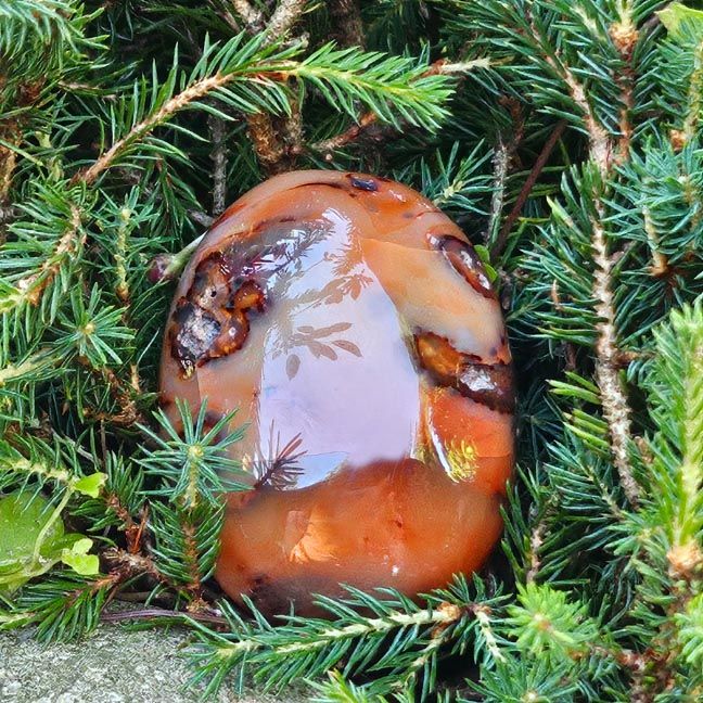 🧡Carnelian Palm Stones