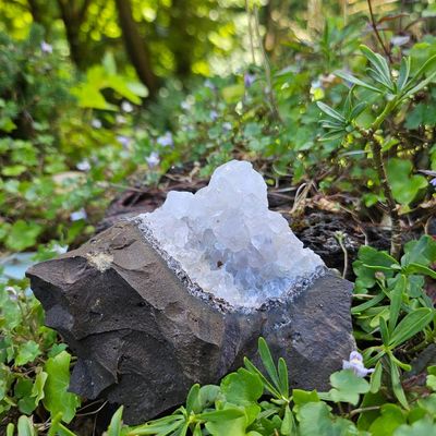 🌟 Clear Quartz Cluster in Matrix #2