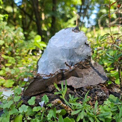🌟 Clear Quartz Cluster in Matrix #5