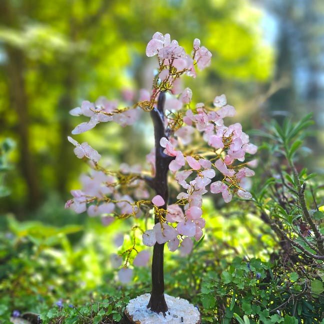 🌺Rose Quartz Wishing Tree