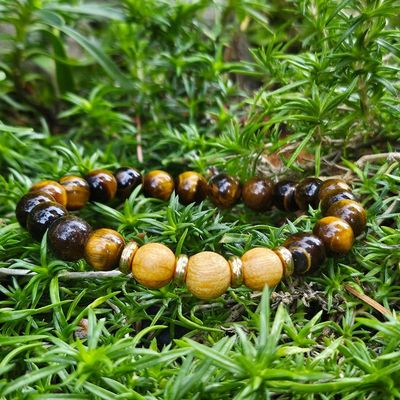 🐅 Wild Root Bracelet