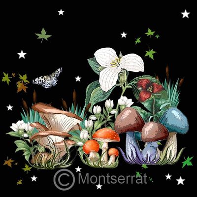 Forest Temple Collection