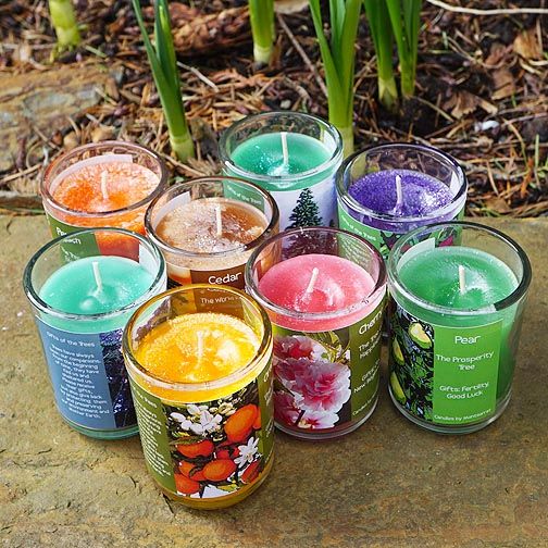 Group of colorful labeled candles arranged on a stone surface outdoors with plants in the background.