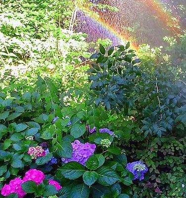 The Enchanted Garden
