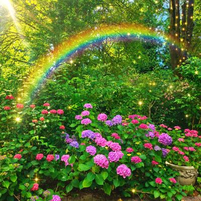 The Enchanted Garden Collection