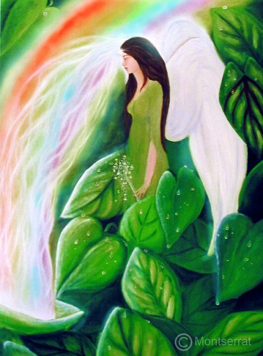 Where the Rainbows Are Born