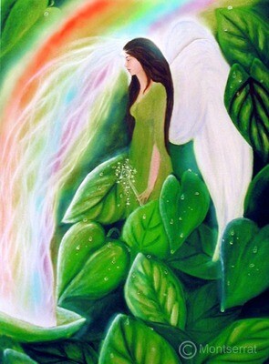 Where the Rainbows Are Born