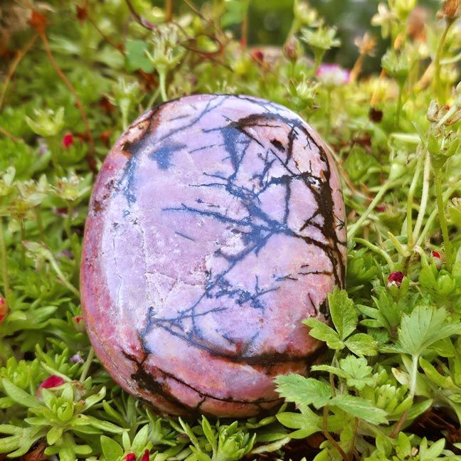 🌷Rhodonite Palm Stones