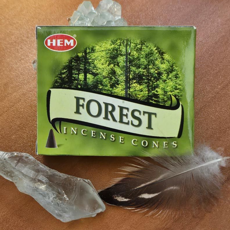 🌱Forest Incense Cones