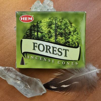 🌱Forest Incense Cones