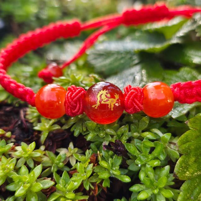 🐎🔴Year of the Horse Red String Protection Bracelet