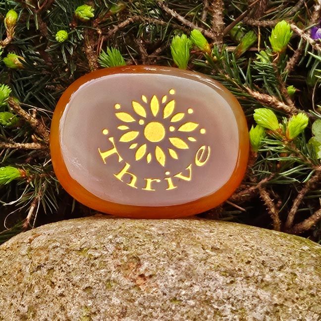 🔆Thrive Carnelian Palm Stone