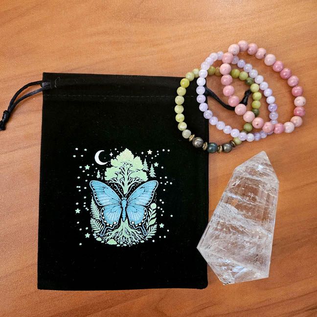 🌙​Moonlit Moth Velveteen Art Pouch