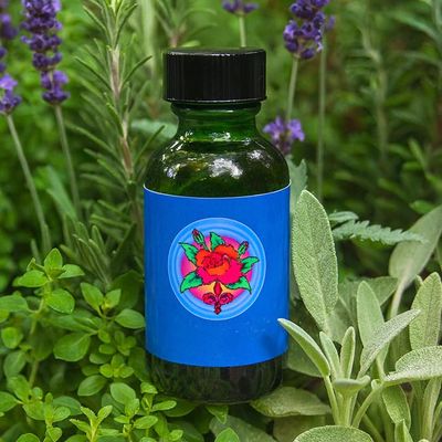 🪻Lavender ​Essential Oil – 1oz