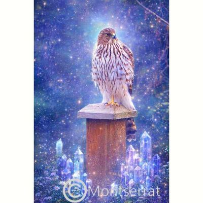 🦅Wisdom blooms when the heart soars