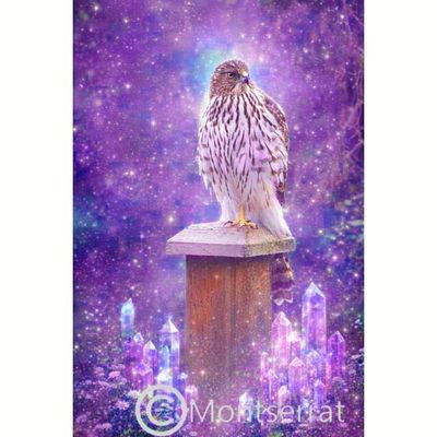 Hawk perched on a wooden post surrounded by glowing purple and blue crystals in a mystical cosmic scene.
