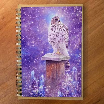 Spiral‑bound journal with a hawk perched on a wooden post surrounded by glowing purple and blue crystals in a cosmic scene.