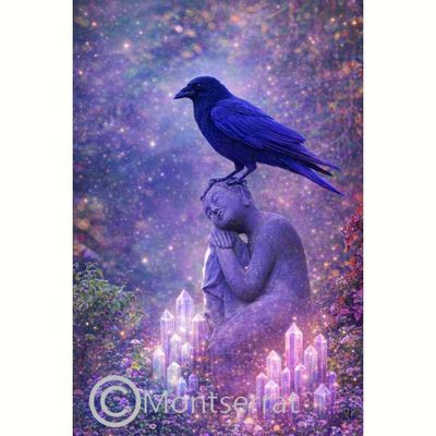 🐦‍⬛May the Light always find you