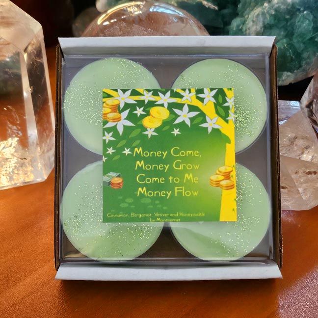 Money Spell organic soy candle with Cinnamon, Bergamot, Vetiver, and Honeysuckle for abundance and prosperity.