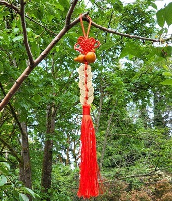Feng Shui Prosperity Knot with five coins and Wu Lou charm for abundance, protection, and good fortune.