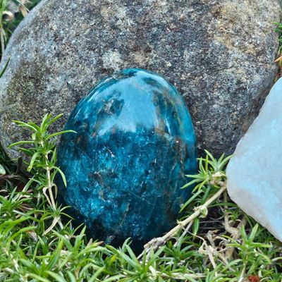 AAA Blue Apatite palm stone for clarity, intuition, and confident communication.