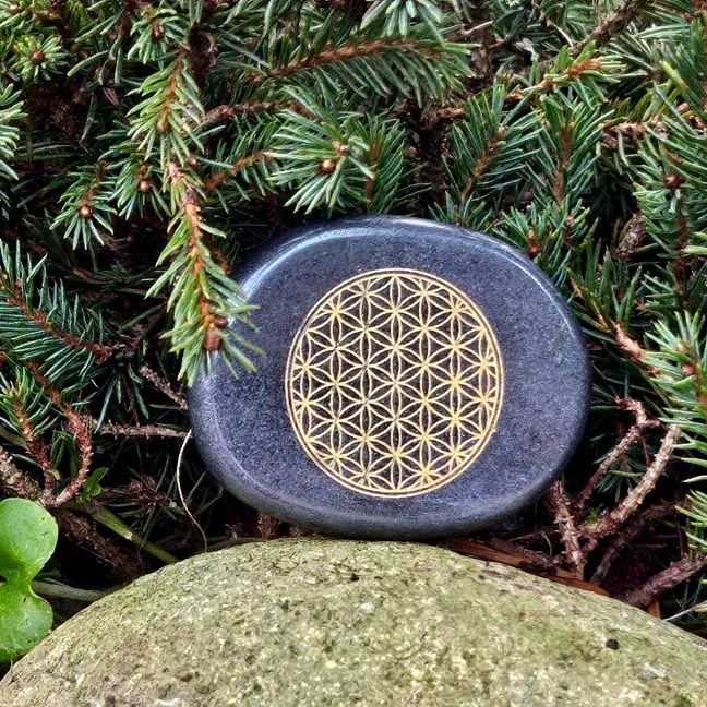 Hematite palm stone engraved in gold with the Flower of Life symbol resting on a rock with green foliage