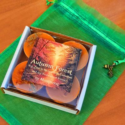 Autumn Forest Organic Soy Tea Lights • Pine Needles & Cedarwood • Gratitude