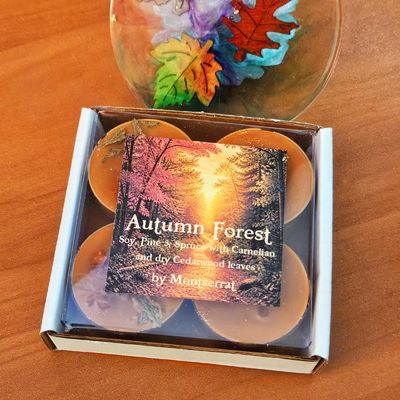 Autumn Forest Organic Soy Tea Lights • Pine Needles & Cedarwood • Gratitude Autumn Forest Organic Soy Tea Lights • Pine Needles & Cedarwood • Gratitude