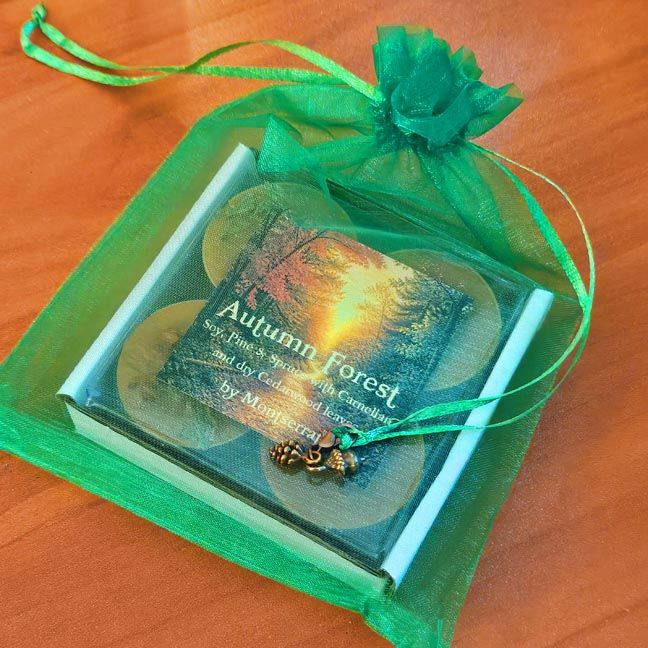 Autumn Forest Organic Soy Tea Lights • Pine Needles &amp; Cedarwood • Gratitude