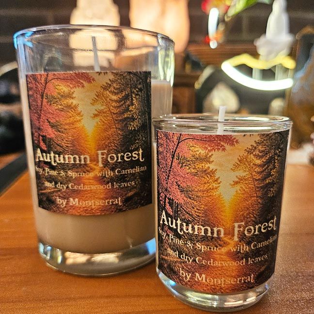 Autumn Forest Glass Jar Candle • Organic Soy • Pine &amp; Spruce • Carnelian &amp; Cedar