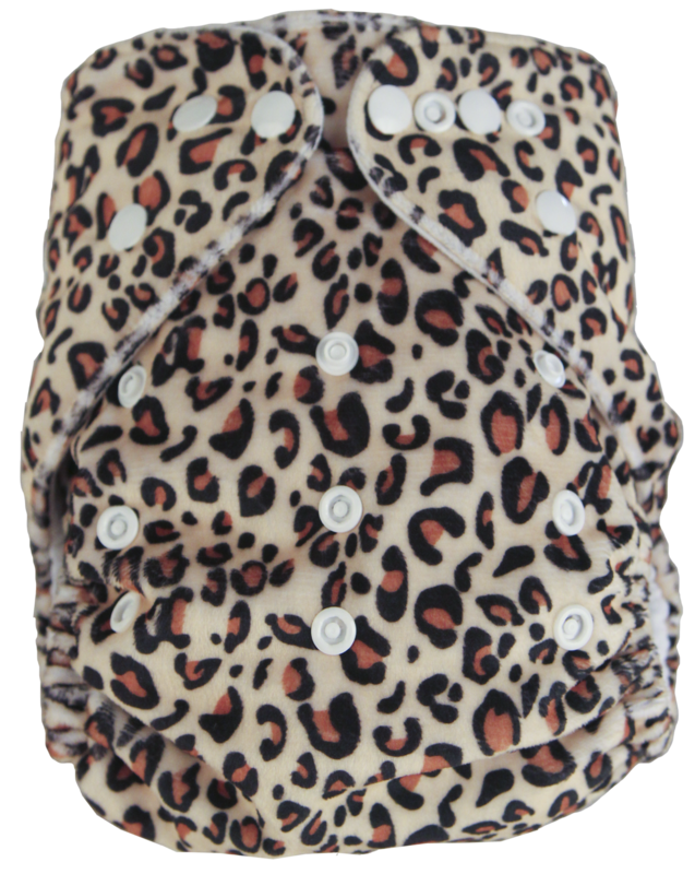 Cheetah