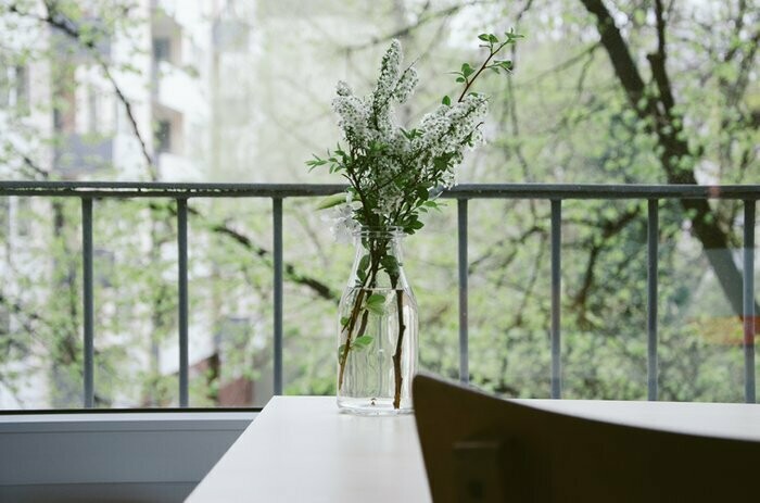 Spring Spruce Up