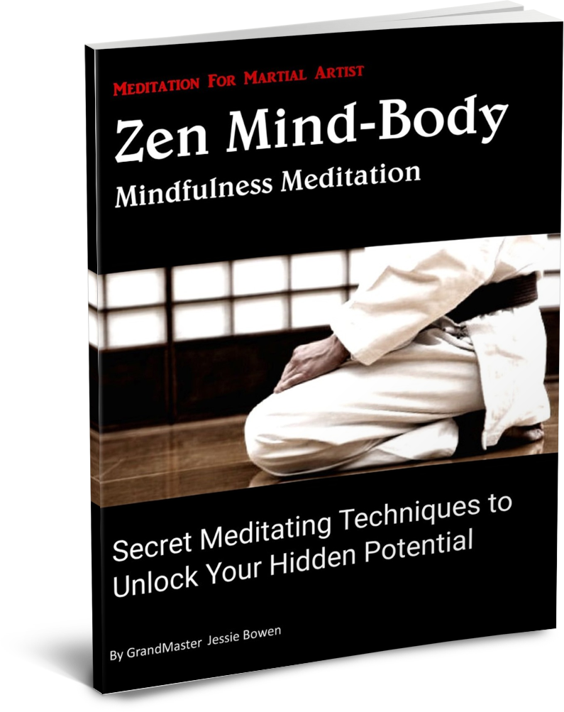 Zen Mind-Body Mindfulness Meditation for Martial Artist Book
