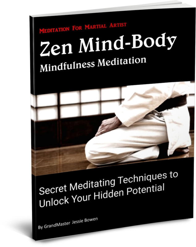 Zen Mind-Body Mindfulness Meditation for Martial Artist Book