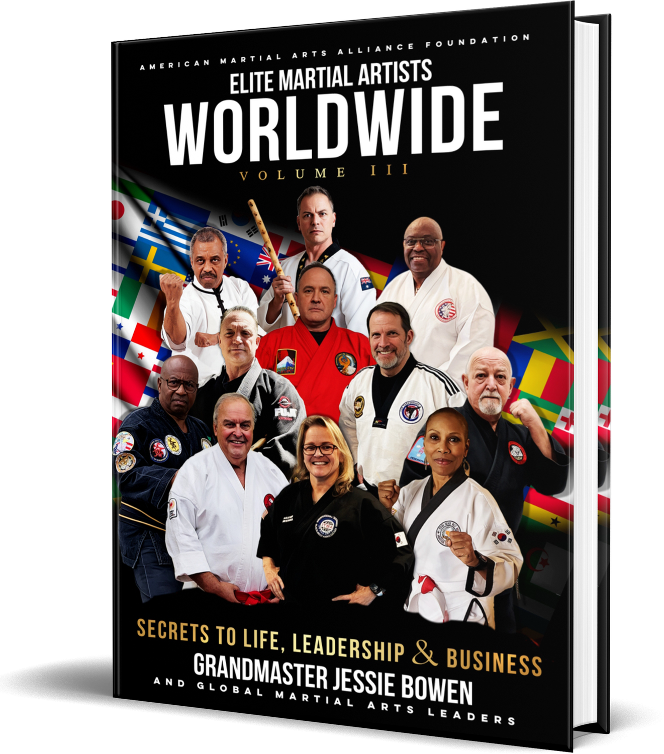 Elite Martial Artists Worldwide Compilation - Limited Opportunity