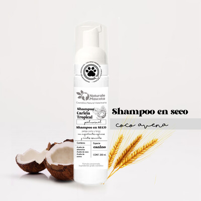 Shampoo en Seco de Avena y Coco