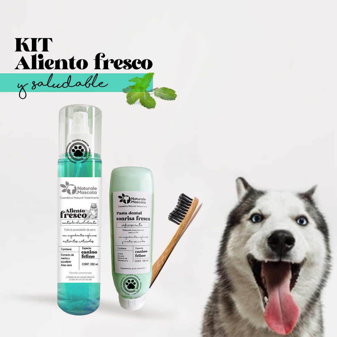 Kit Aliento fresco / Envío gratis
