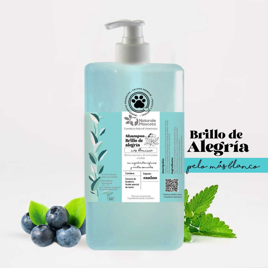 Shampoo Brillo de alegría (menta-blueberry) / 1 litro