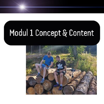 VR Modul 1 - Concept & Content