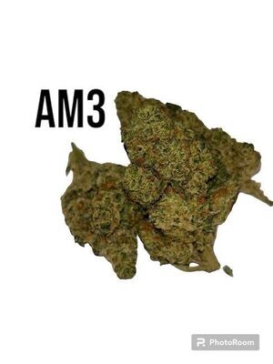 AM3 5 Gramm