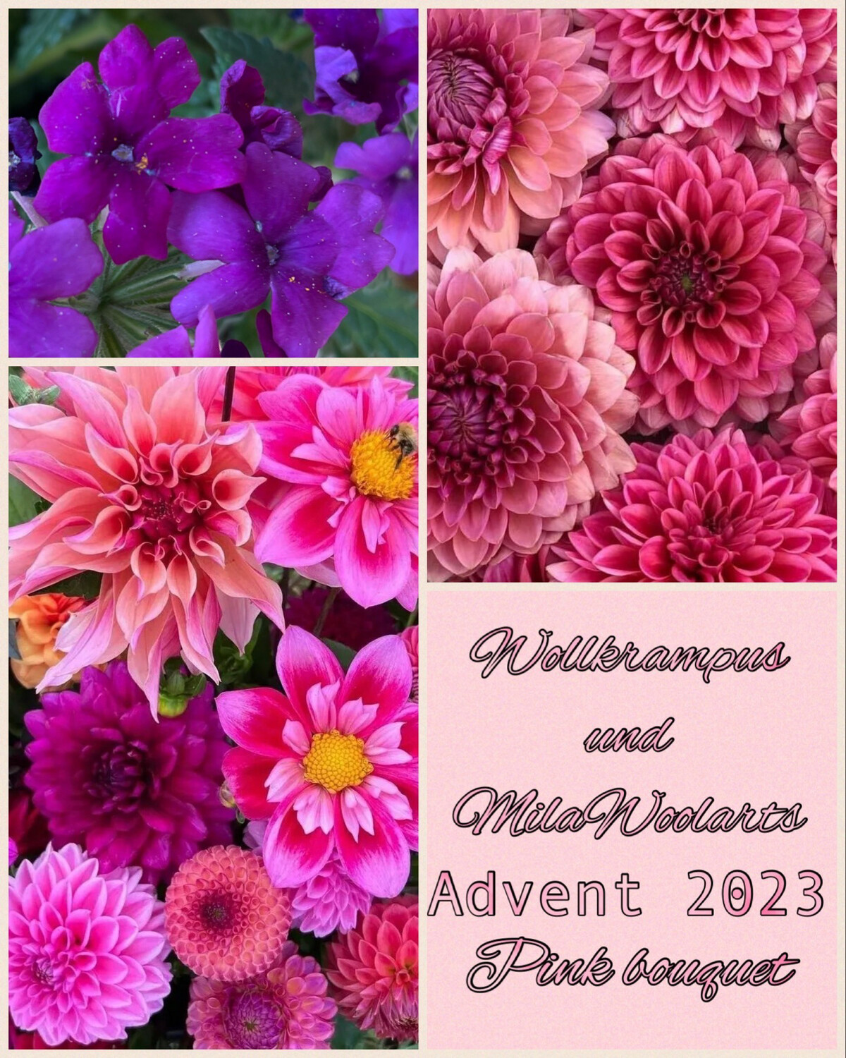 Advent Pink Bouquet 2023 MerinoPur