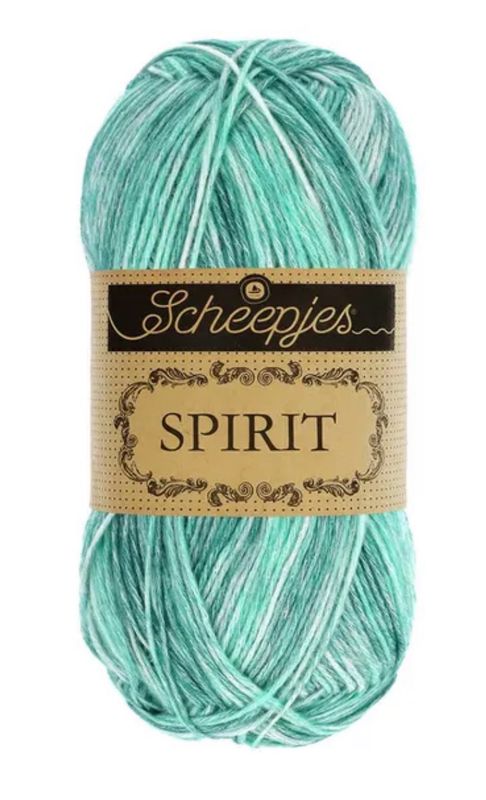 Spirit 308 Turtle