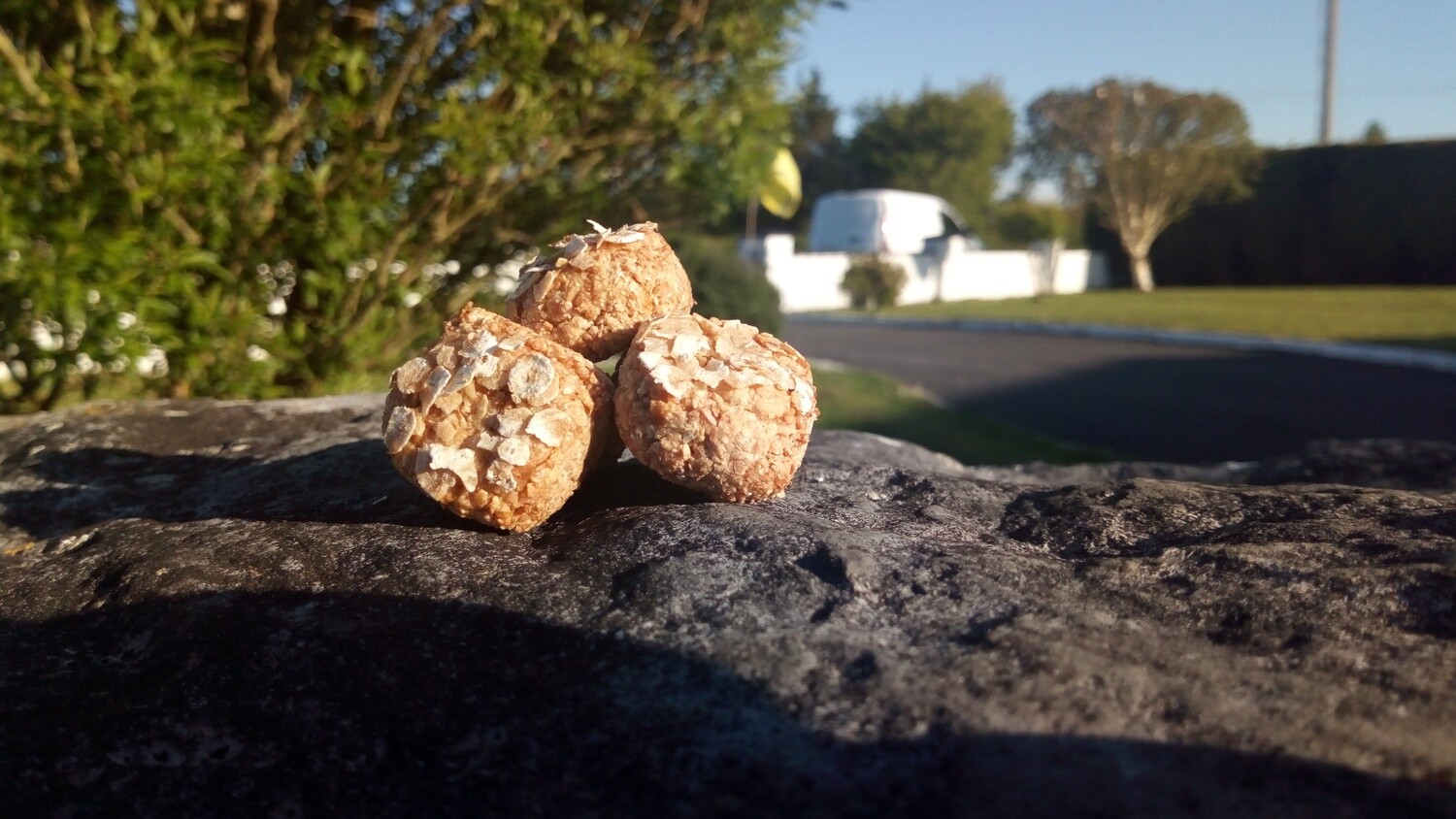 All Natural Treats