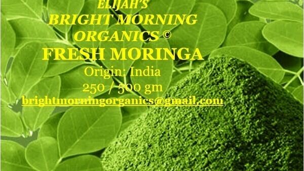Bright Morning Organics