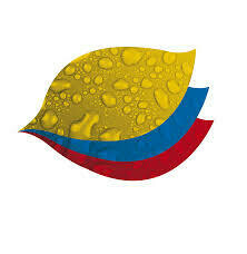 frutas 100% colombia
